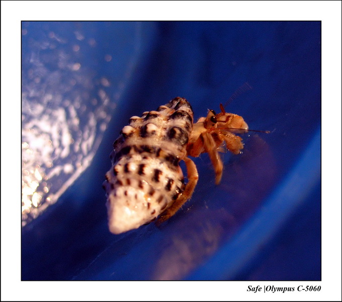 2005 - 08 - Perhentian  - 148.JPG